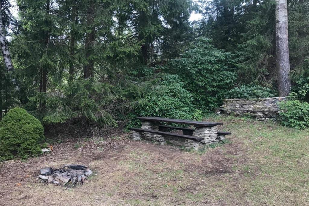 Horska Chata Na Brcalniku V Srdci Sumavy Železná Ruda Exterior foto